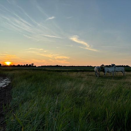 Nedlagt Gard I Naturen Med Ro Og Fred Og Samtidig Taet Pa Strand Og Fiskeri Og Indkobsmuligheder Nordborg Exterior photo